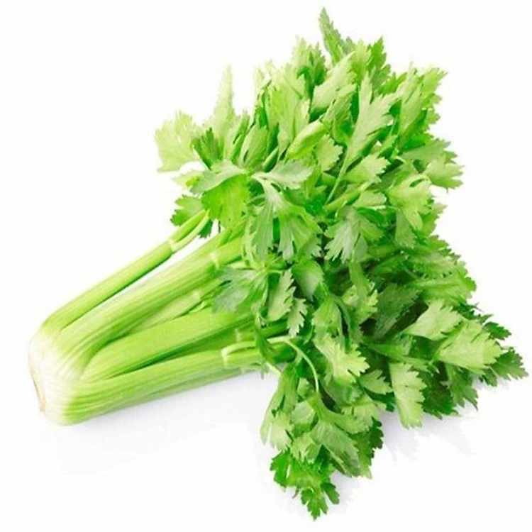 Rau củ quả