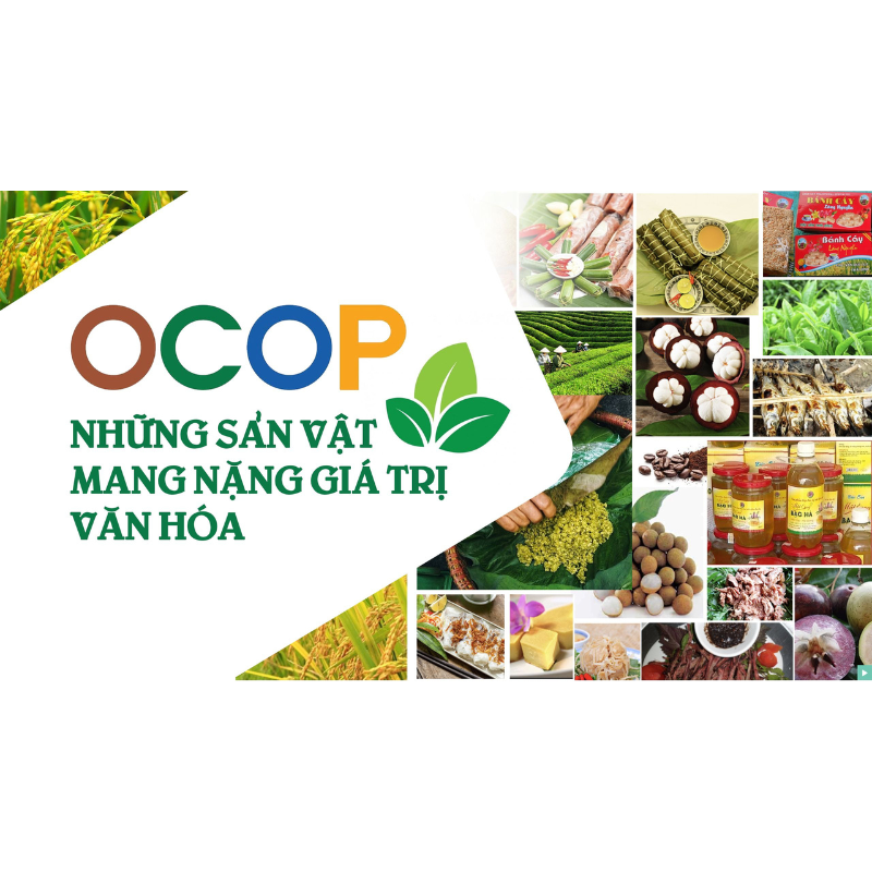 Đặc sản OCOP